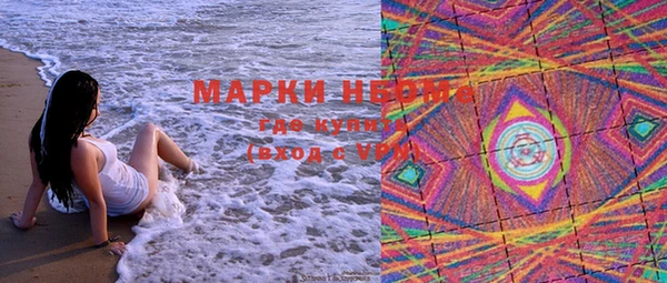индика Богородск