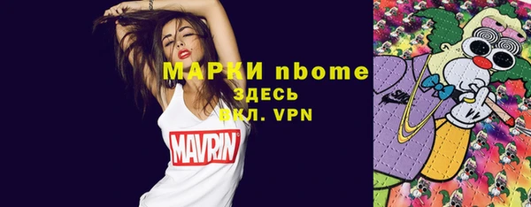 индика Богородск