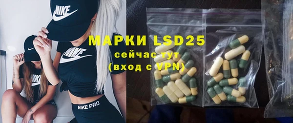 индика Богородск