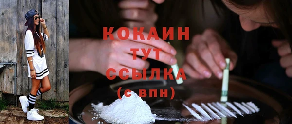 индика Богородск