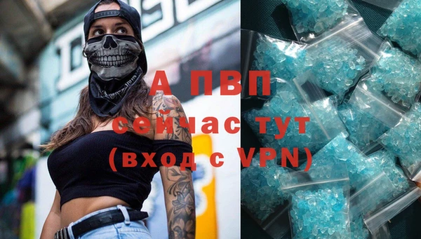 стаф Богданович