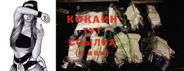 индика Богородск