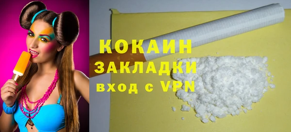 стаф Богданович