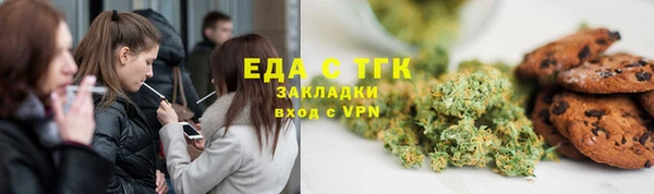 индика Богородск