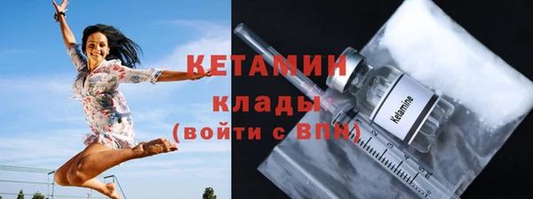 стаф Богданович