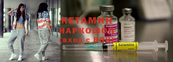 стаф Богданович