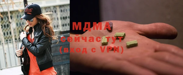 индика Богородск