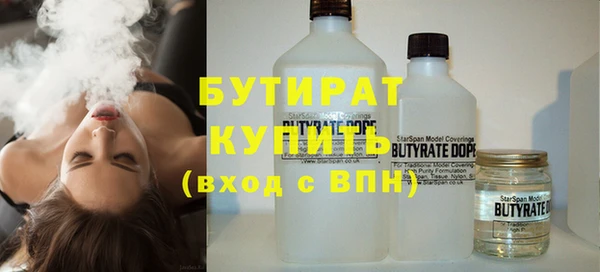 индика Богородск