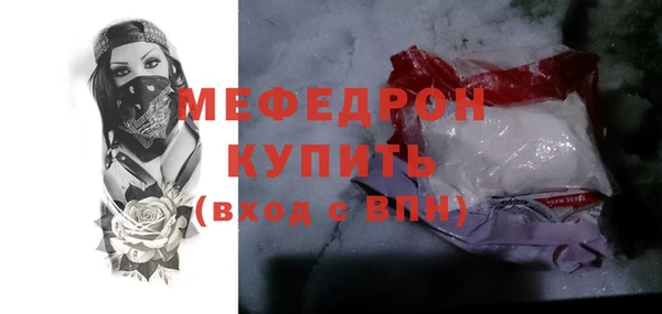индика Богородск