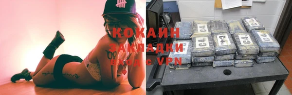 индика Богородск