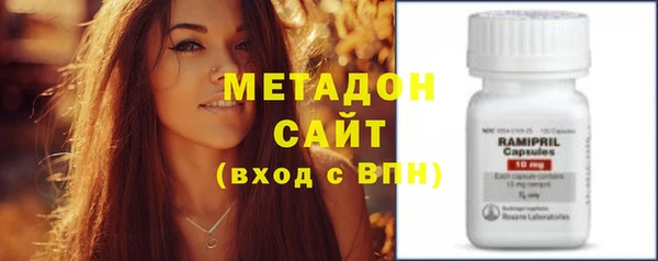 индика Богородск