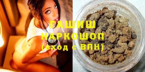 индика Богородск