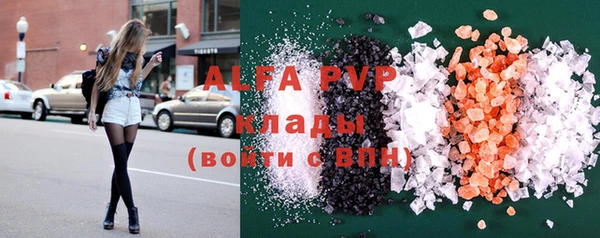 стаф Богданович