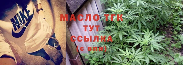 стаф Богданович