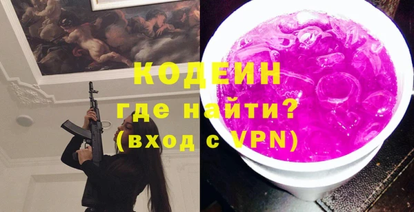 индика Богородск
