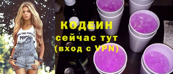 стаф Богданович