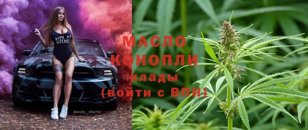 стаф Богданович