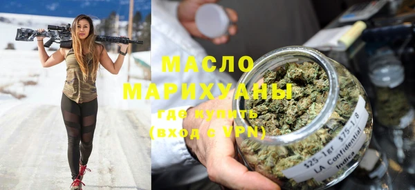 индика Богородск