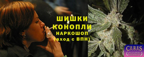 стаф Богданович