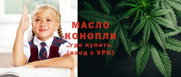 индика Богородск