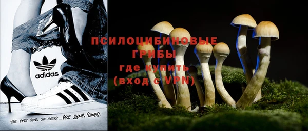 марки nbome Богородицк